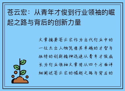 苍云宏：从青年才俊到行业领袖的崛起之路与背后的创新力量